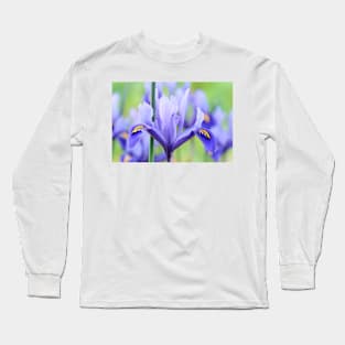 Iris  &#39;Harmony&#39;  Reticulata Long Sleeve T-Shirt